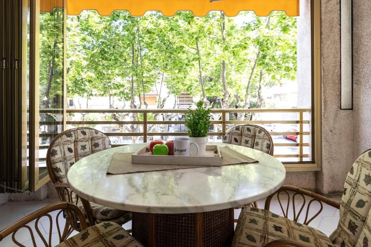 Estudio A 100 Metros De La Playa 萨洛 公寓